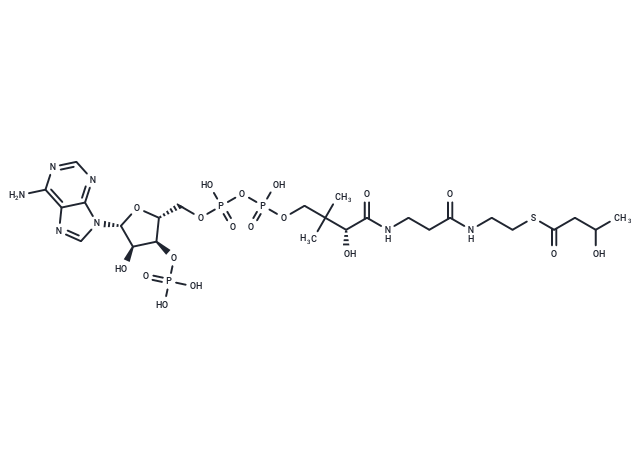 3-Hydroxybutyryl-CoA