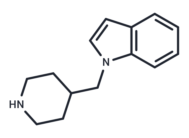 Antibacterial agent 204