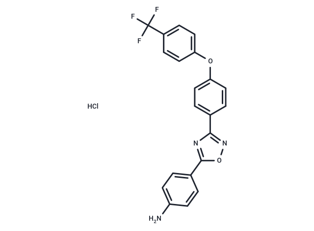 Antibacterial agent 198