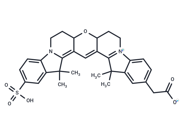 Cy3B