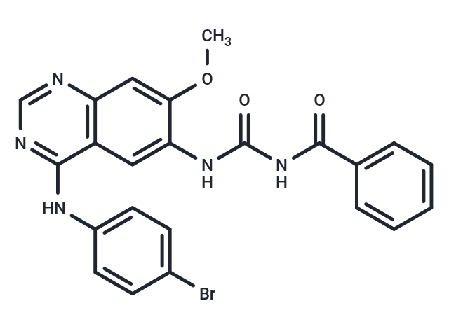 EGFR/microtubule-IN-1