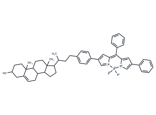 BODIPY-cholesterol conjugate-2