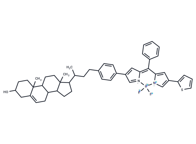 BODIPY-cholesterol conjugate-3