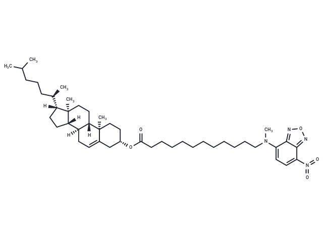 3-NBD-C12 Cholesterol