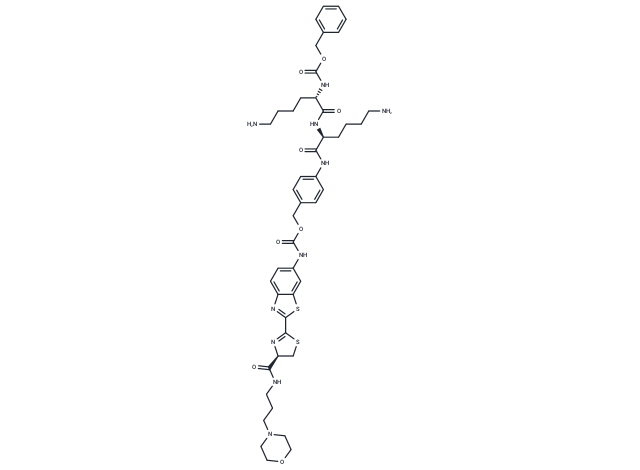 CTB probe-1