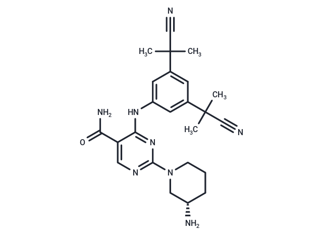 CS587