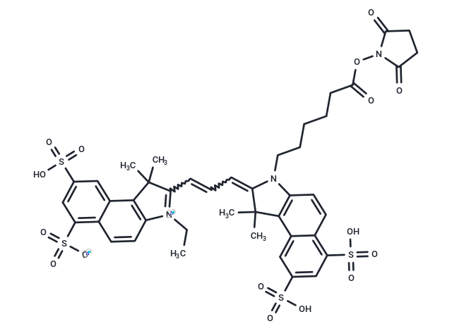 Cy3.5 NHS ester