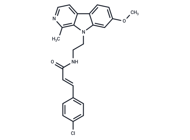 HSP90-IN-21