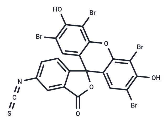 Eosin 5-isothiocyanate