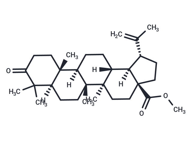 Methyl betulonate