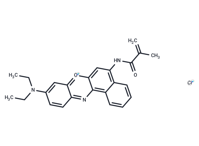 Nile Blue Methacrylamide