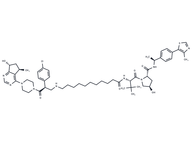 INY-05-040