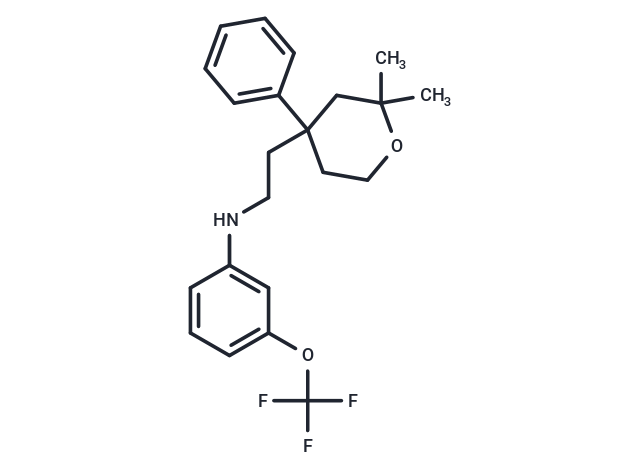 ICMT-IN-55