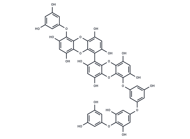 Pyrogallol-phloroglucinol-6,6-bieckol