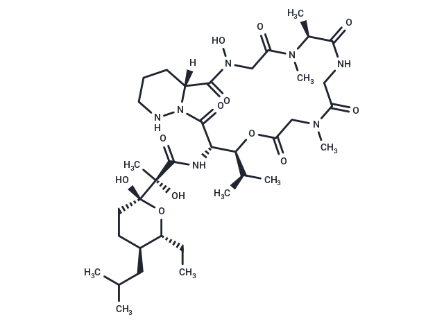 Meliponamycin A