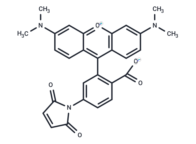 Tetramethylrhodamine-5-maleimide