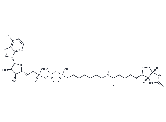 γ-(6-Aminohexyl)-ATP-biotin