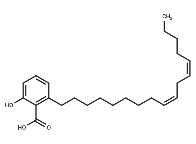 α-Glucosidase-IN-54