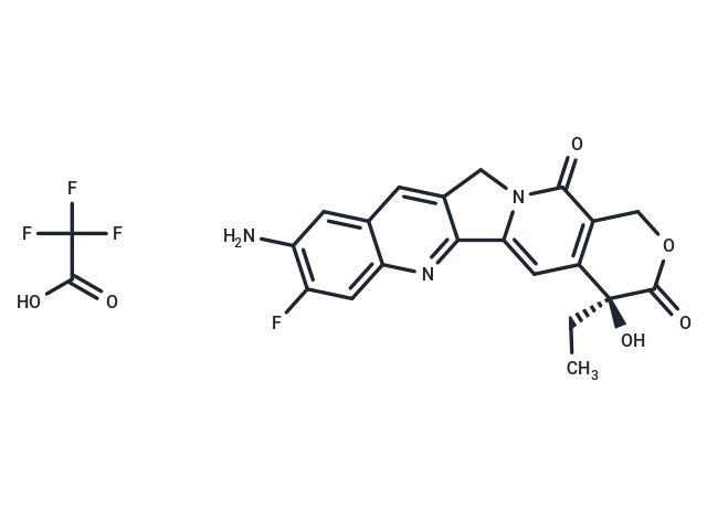 10NH2-11F-Camptothecin TFA