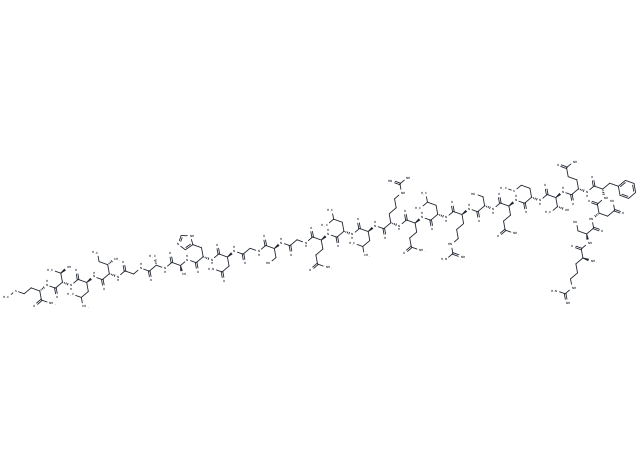 Xenopus orexin B