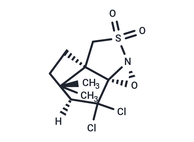 (-)-8,8-Dichlorocampherylsulfonyl-oxaziridine