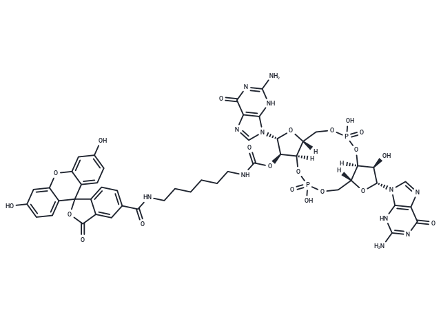 2'-Fluo-AHC-c-di-GMP