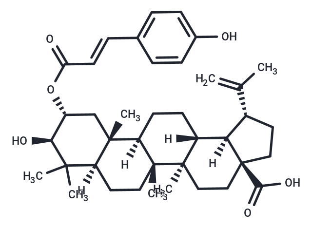 2-O-trans-p-Coumaroylalphitolic acid