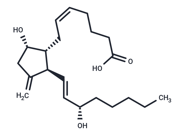 11-Deoxy-11-methylene PGD2