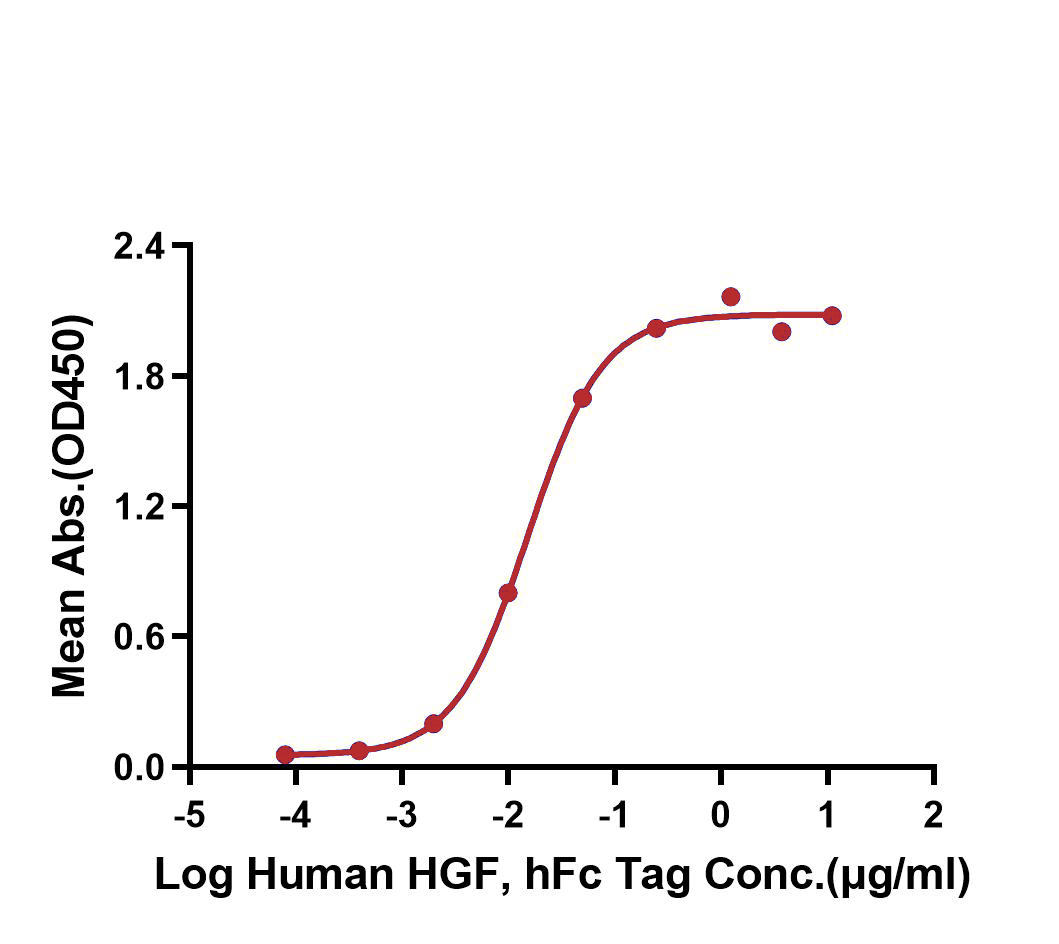 HGF Protein, Human, Recombinant (hFc)