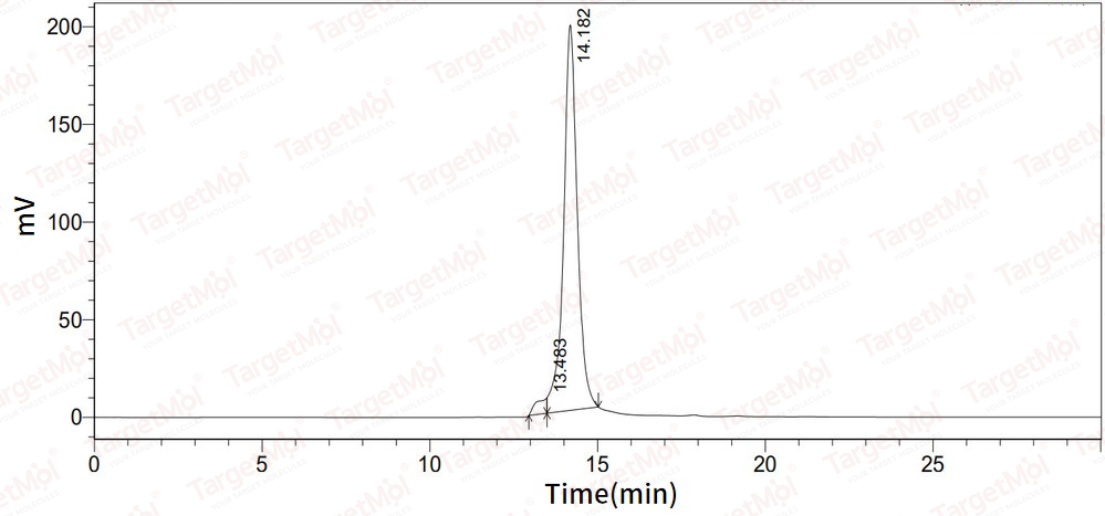 TRAIL/TNFSF10 Protein, Human, Recombinant