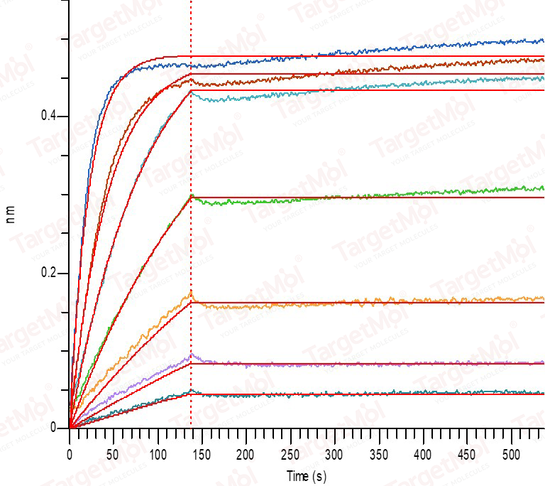 TPSB2 Protein, Human, Recombinant (His)