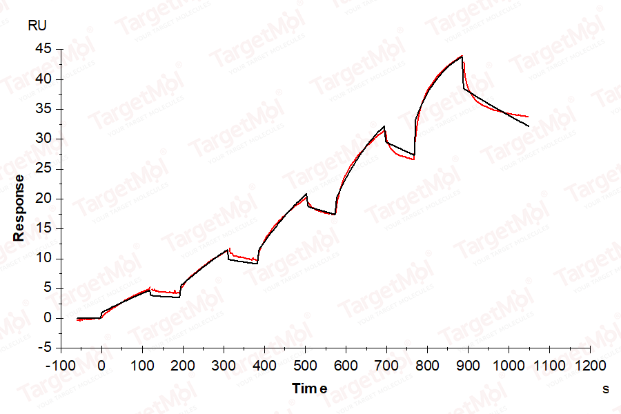 Galectin-3/LGALS3 Protein, Mouse, Recombinant (His)