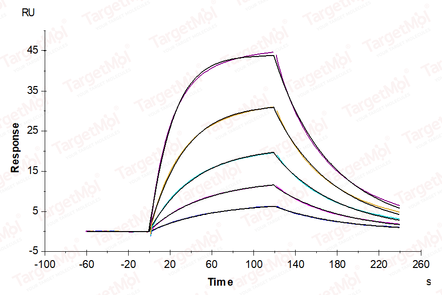 IL-22RA1 Protein, Cynomolgus, Recombinant (His)