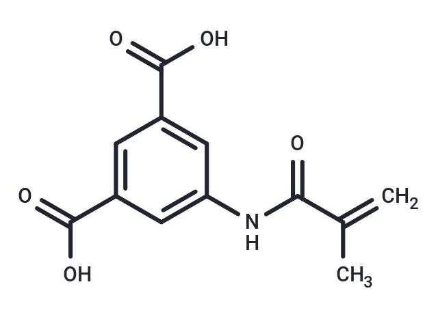 MS 15203