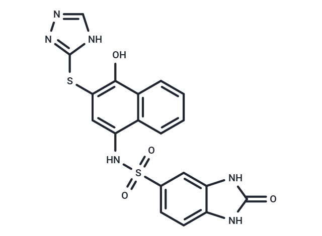 hsa62