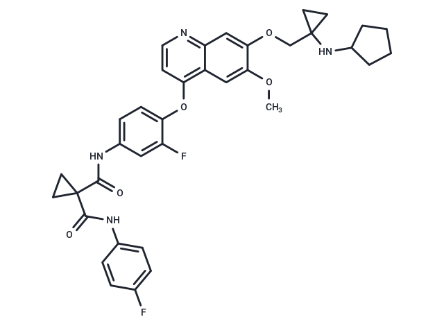 Vilzemetkib