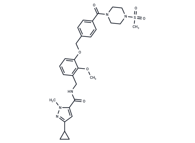 PAV-104