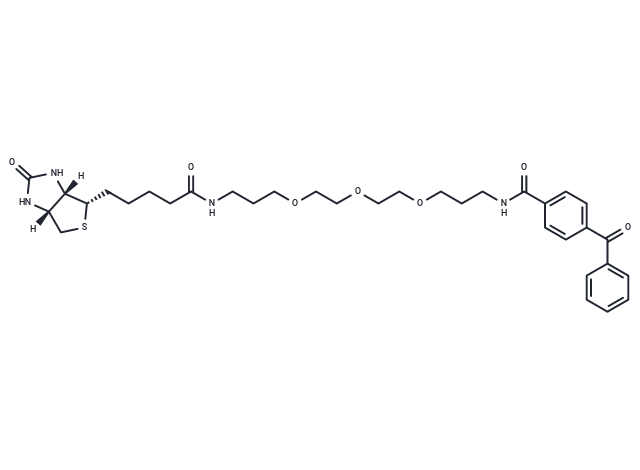 Biotin-PEG3-benzophenone