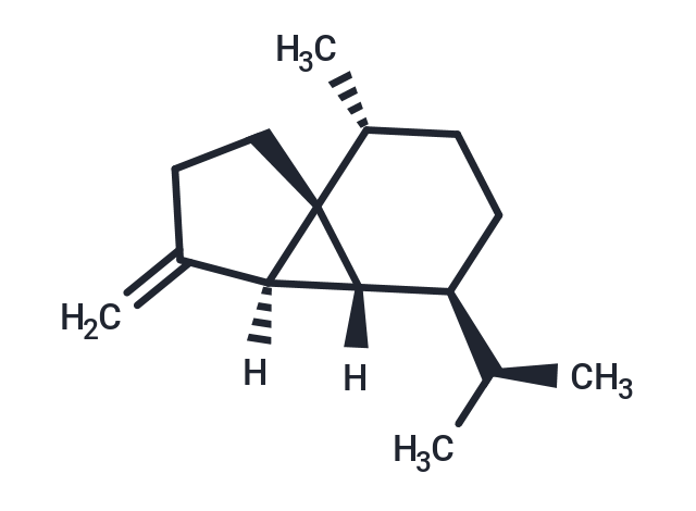 β-Cubebene