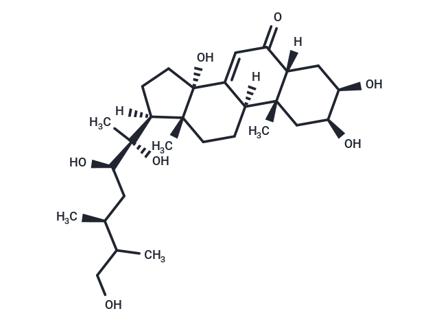 Makisterone B