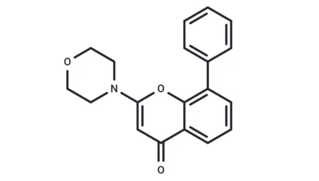 WIKIMOLE—LY294002