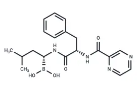 WIKIMOLE—Bortezomib