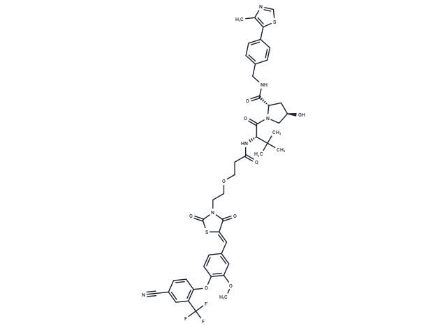 PROTAC_ERRα