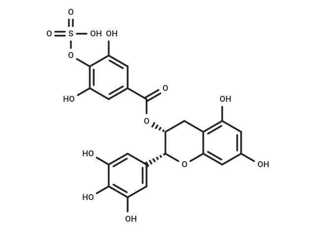 EGCG-4″-sulfate