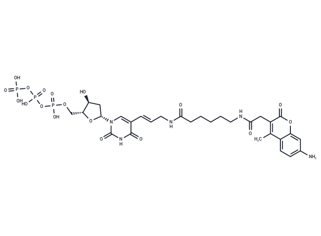 AMCA-6-dUTP