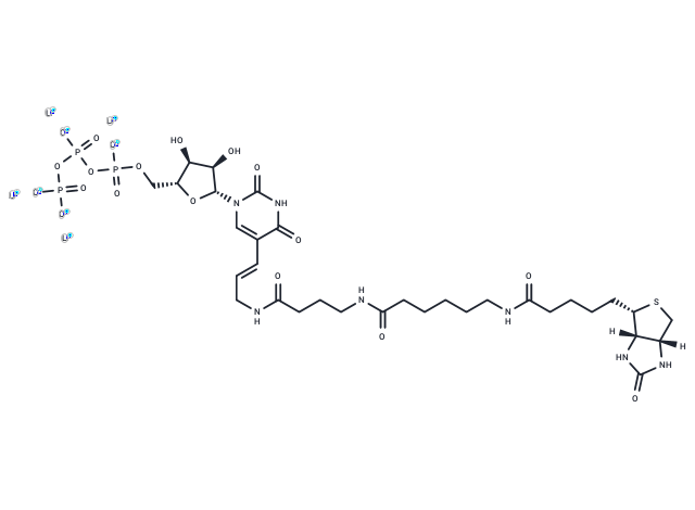 Biotin-16-UTP