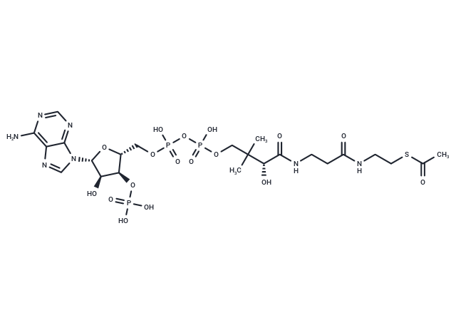 Acetyl coenzyme A