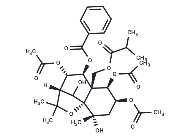 Celangulatin C