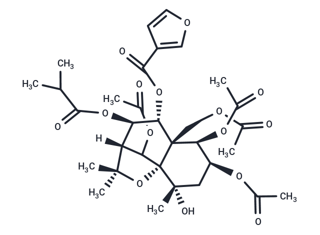 Angulatin G