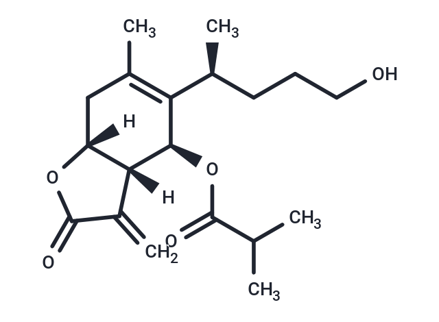 6-O-Isobutyrylbritannilactone